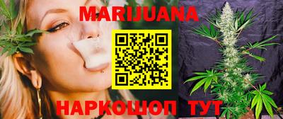 тгк Кингисепп