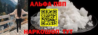 тгк Кингисепп