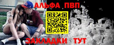 тгк Кингисепп
