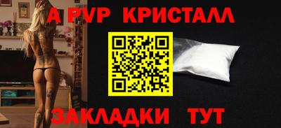 тгк Кингисепп