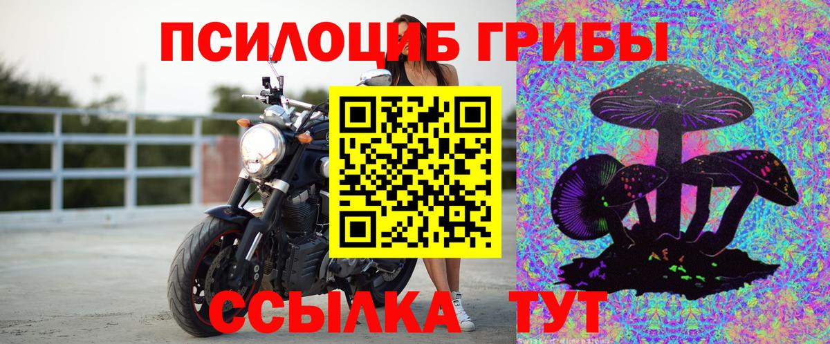Галлюциногенные грибы мицелий  Вход с VPN  Галлюциногенные грибы Cubensis  Котельники 