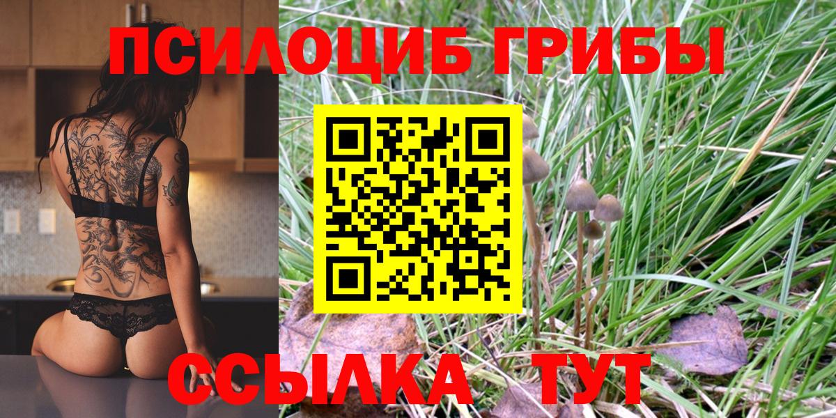 Псилоцибиновые грибы Psilocybine cubensis Котельники